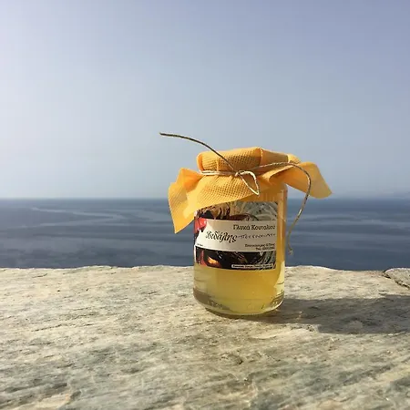 Aegean View Tinos *